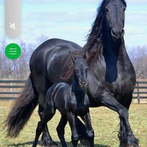 Meet your Posher, Jane